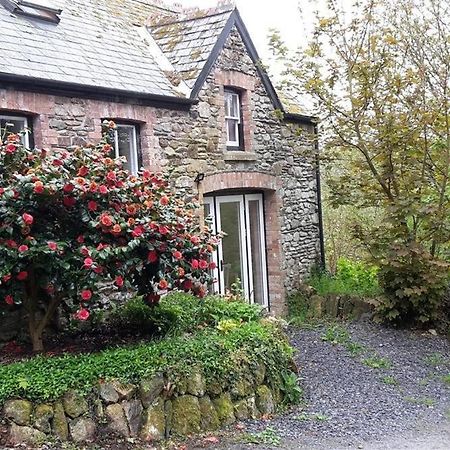 פישגארד Cwmbrandy Cottage מראה חיצוני תמונה