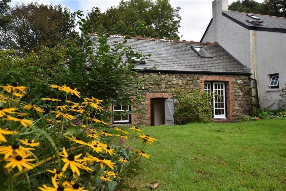 פישגארד Cwmbrandy Cottage מראה חיצוני תמונה