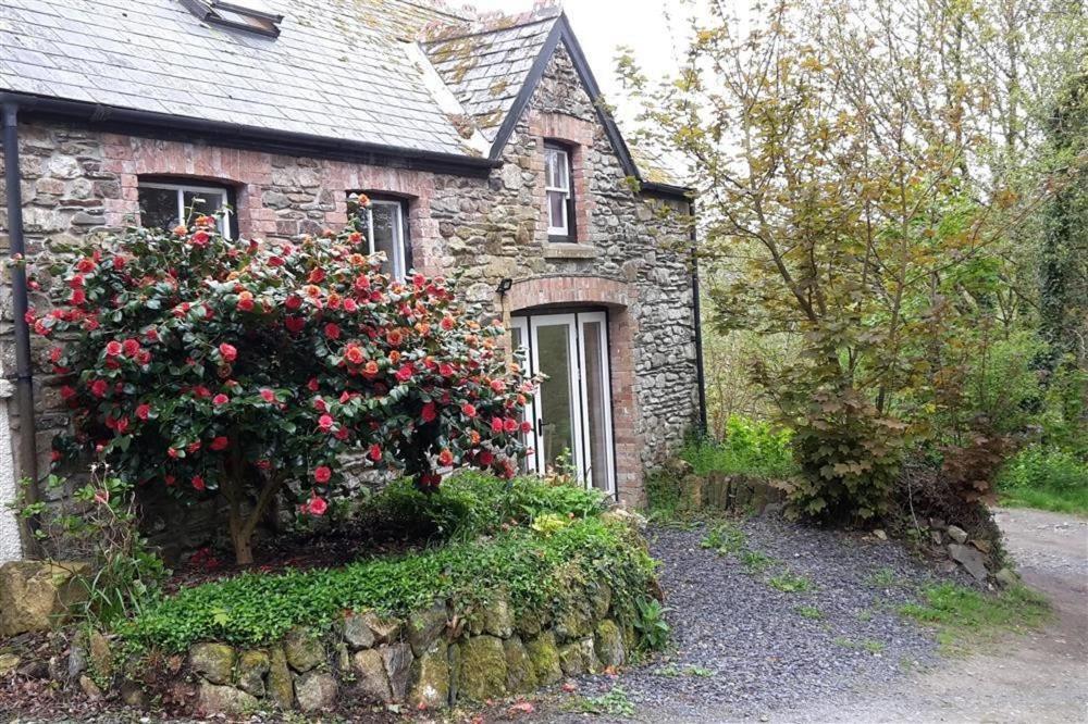 פישגארד Cwmbrandy Cottage מראה חיצוני תמונה